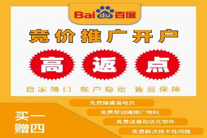 SEM运营公司案例研究：优化广告投放策略
